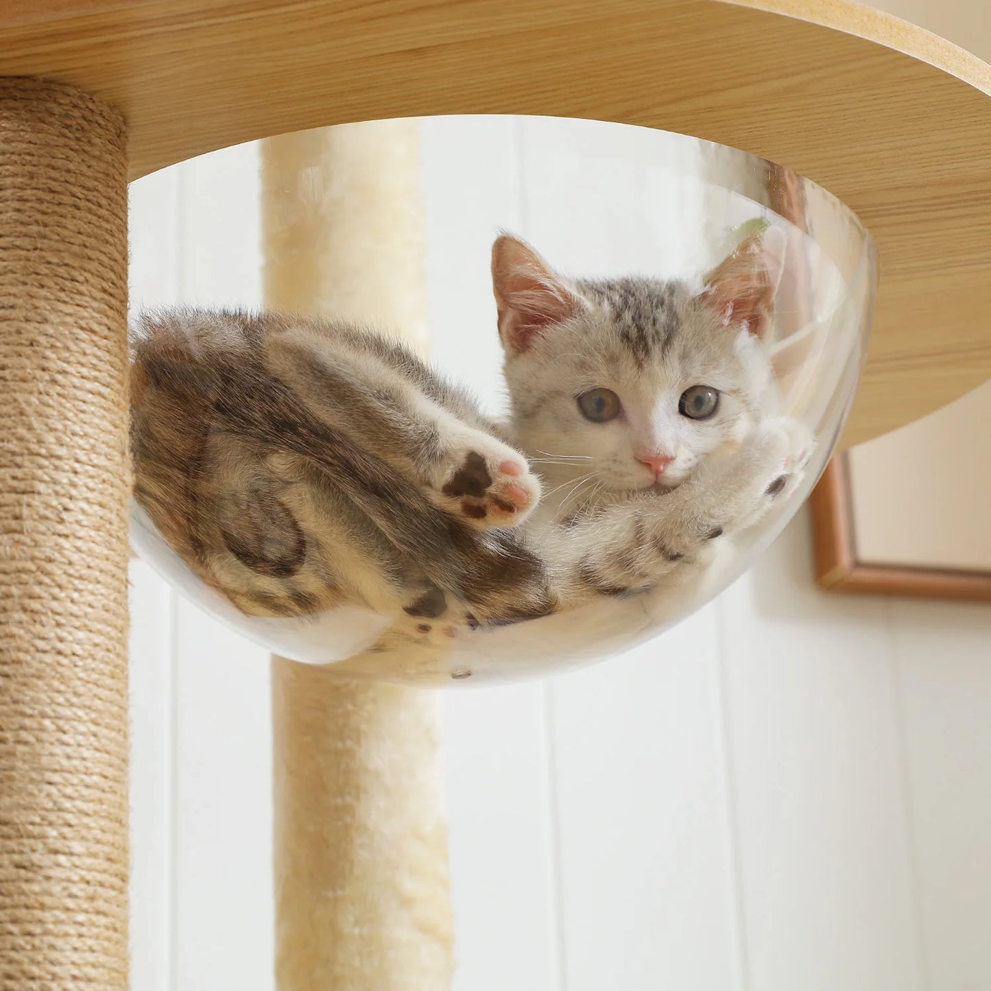 PAWZ Ro Multi Level Cat Tree Indoor Wood Tower With Scratching Posts